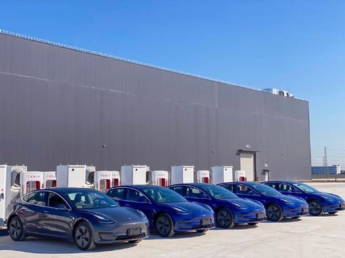 讓蔚來們冒汗的還在后頭 研報稱國產特斯拉還有30 降價空間